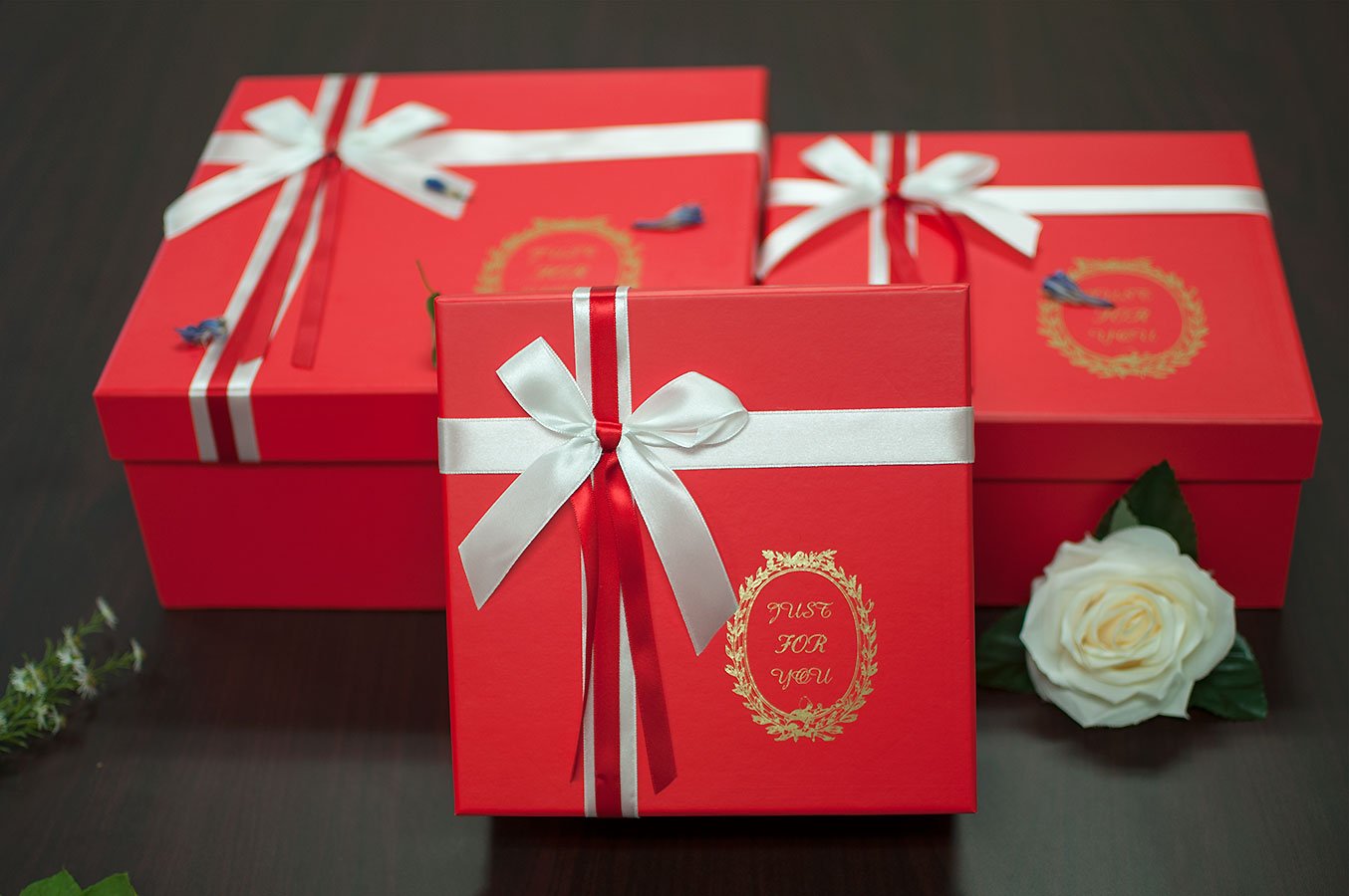 W9203RED. Red Highlighted Square-Shape Flower Boxes (Set of 3)