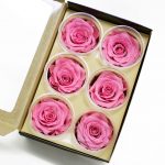 Pink Ecuadorian Eternity Flowers Preserved Roses Pack of 6 6cm to 7cm