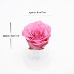 Pink Ecuadorian Eternity Flowers Preserved Roses Pack of 6 6cm to 7cm