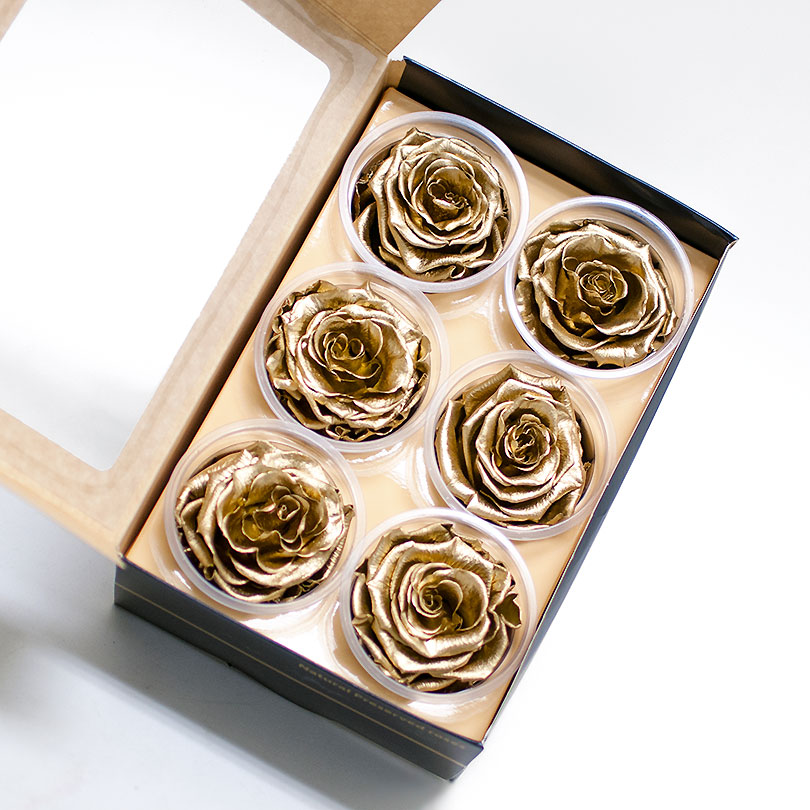 P6-eternity-roses Pack of 6 Gold Preserved Roses