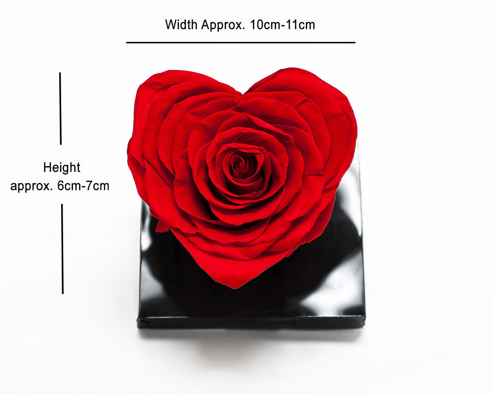 Red-Large-Preserved-Heart-Rose Large Red Eternity Heart Shape Rose