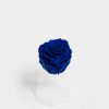 Royal Blue Ecuadorian Eternity Flowers Preserved Roses Pack of 6 6cm to 7cm Royal Blue Ecuadorian Eternity Flowers Preserved Roses Pack of 6 6cm to 7cm