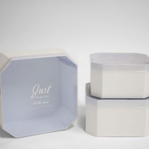 W5323 White Set of 3 Hexagon Square Flower Boxes With Window