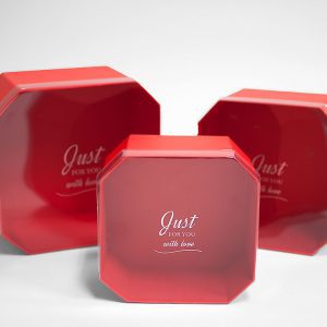 W5325 Red Set of 3 Hexagon Square Flower Boxes With Window