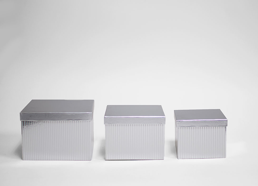 W6855 Silver Striped Flower Boxes Set of 3