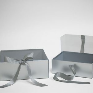 silver-rectangular-flower-boxes-with-clear-lid