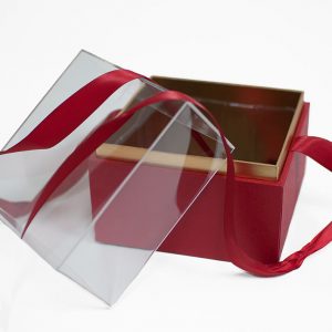 1131Ared Mini Red Acrylic Square Flower Box