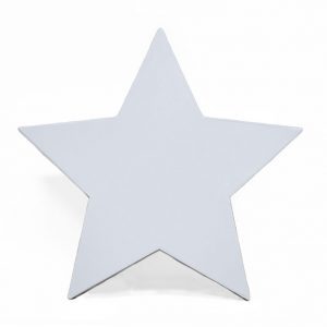 w6660-white-star-shape-flower-box