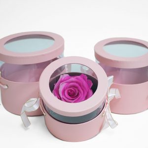 W6788 Pink Set of 3 Round Flower Boxes With Window