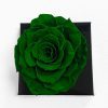XL Dark Green Ecuadorian Eternity Flower Preserved Rose 9cm to 10cm XL Dark Green Ecuadorian Eternity Flower Preserved Rose 9cm to 10cm