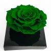 XL Dark Green Ecuadorian Eternity Flower Preserved Rose 9cm to 10cm XL Dark Green Ecuadorian Eternity Flower Preserved Rose 9cm to 10cm